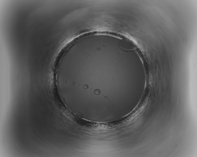 X0000093451263200710261054