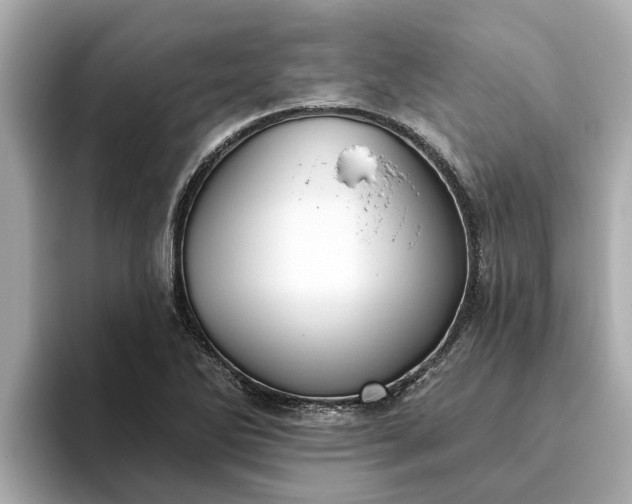 X0000093451270200710261054