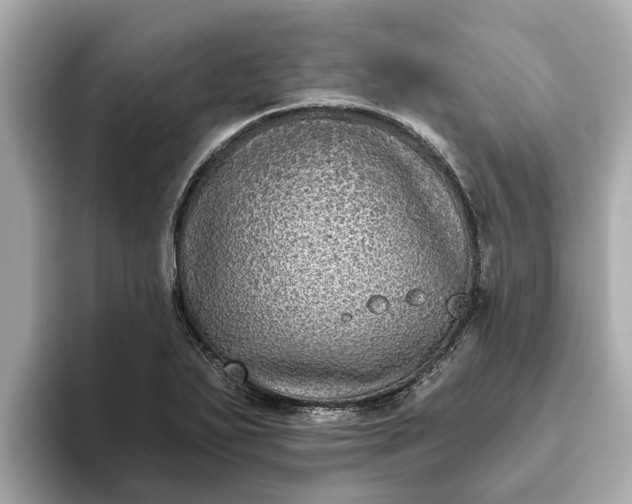 X0000093451271200710261054