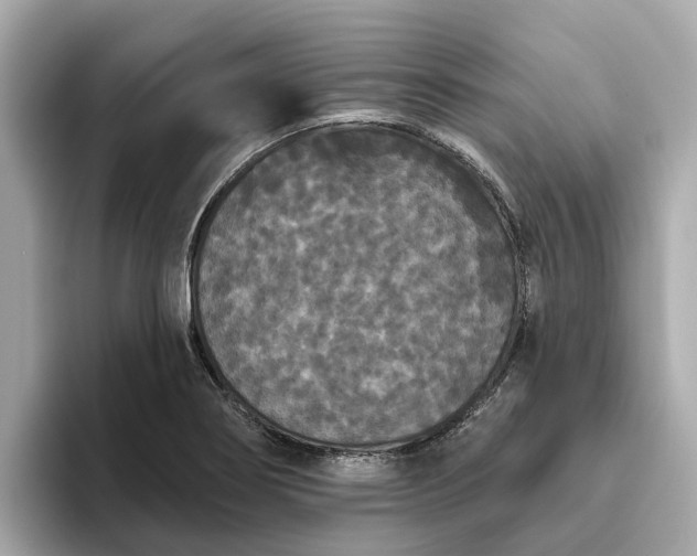 X0000093451274200710261053