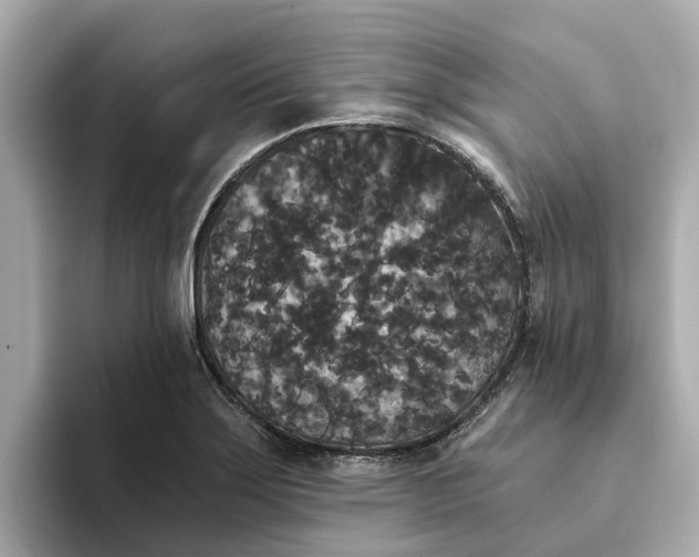 X0000093451275200710261053