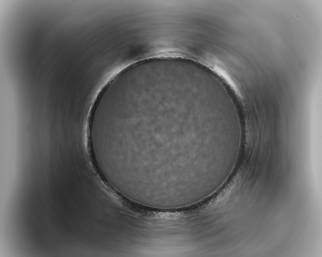 X0000093451277200710261053