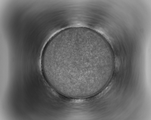 X0000093451278200710261053