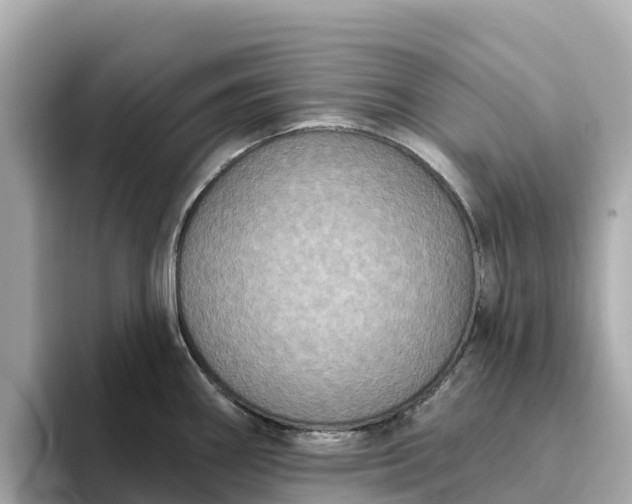 X0000093451290200710261053