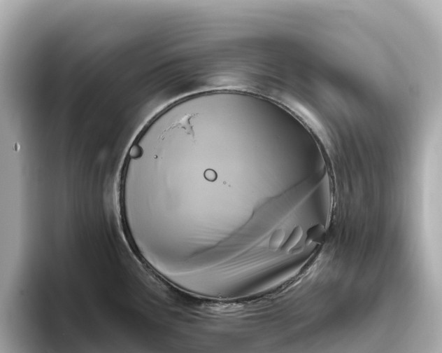 X0000093451291200710261053