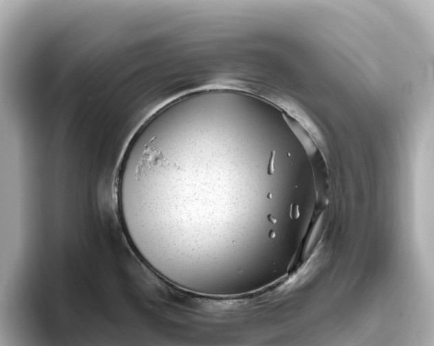 X0000093451292200710261053