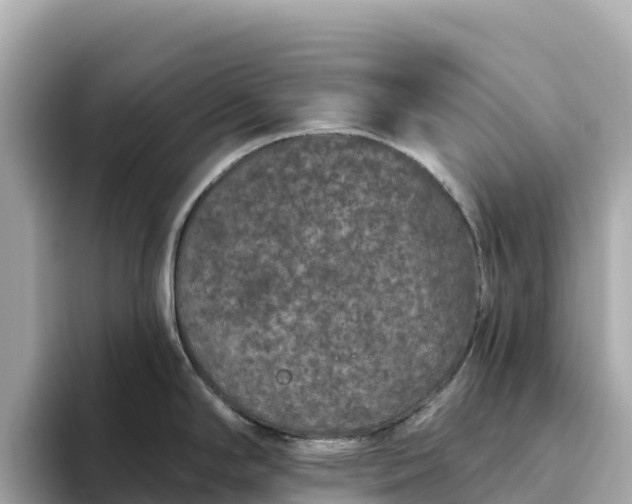 X0000093451294200710261053