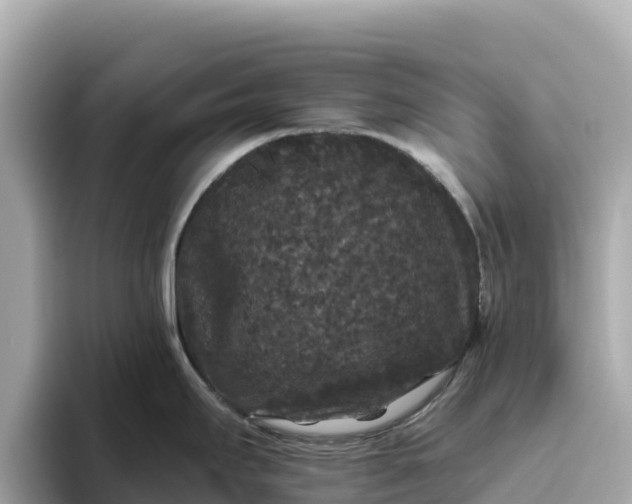 X0000093451295200710261053