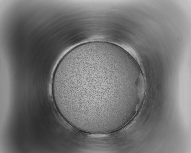 X0000093451296200710261053