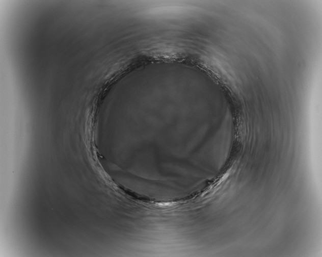 X0000093451297200710261053