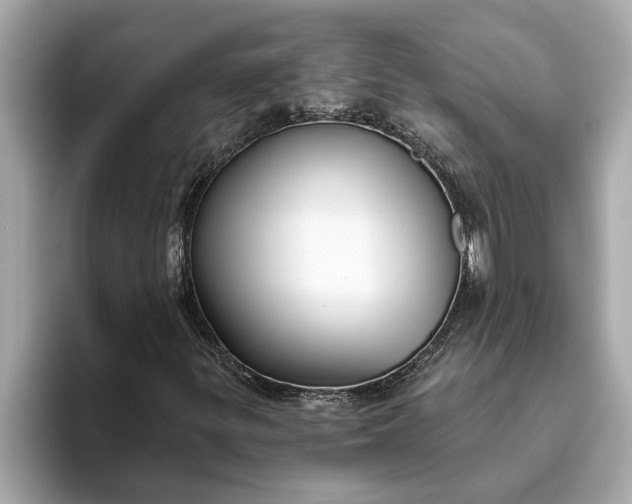 X0000093451299200710261053