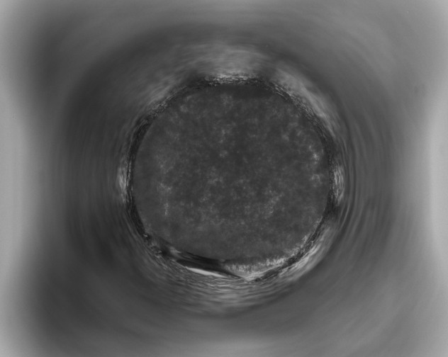 X0000093451300200710261053