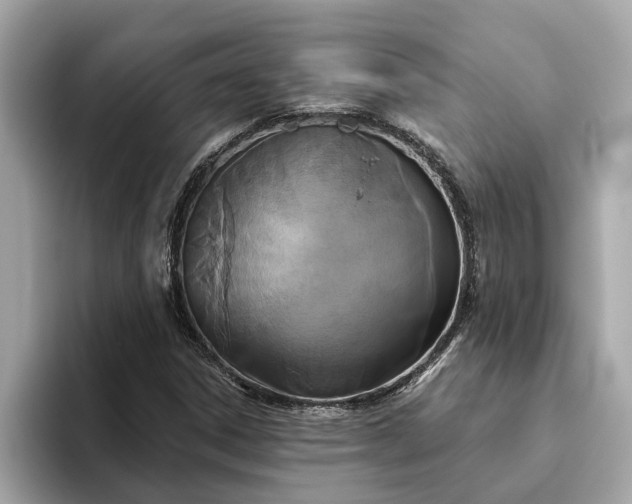 X0000093451306200710261053