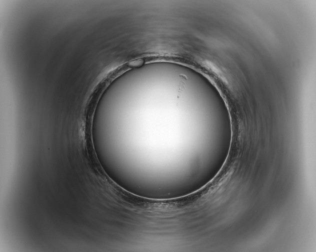 X0000093451307200710261053