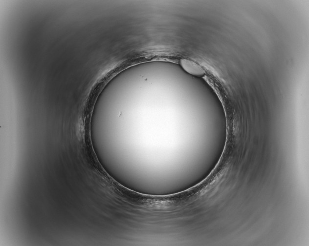 X0000093451309200710261053