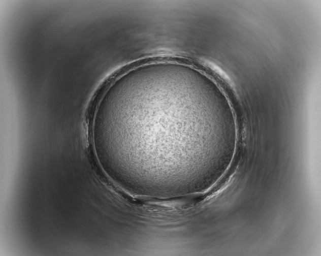 X0000093451310200710261053