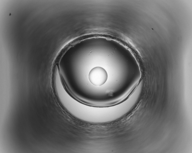 X0000093451312200710261053