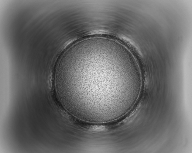 X0000093451313200710261053