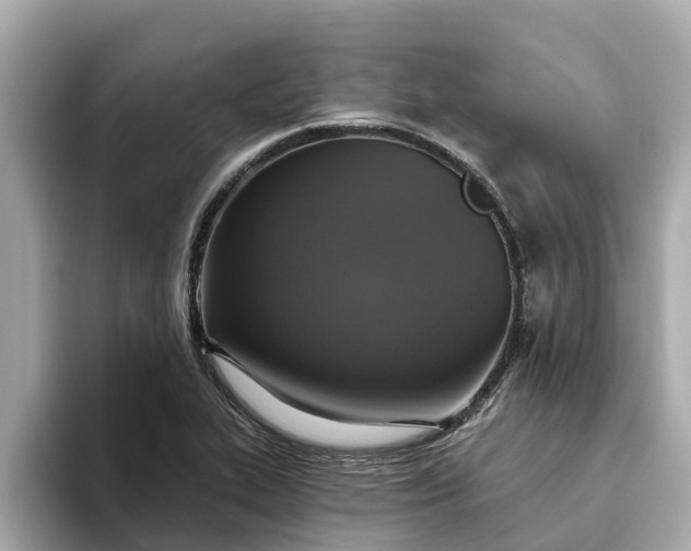 X0000093451319200710261053