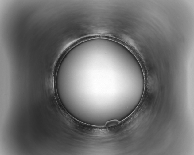 X0000093451320200710261053