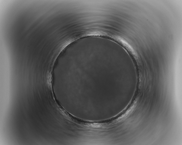 X0000093451329200710261053