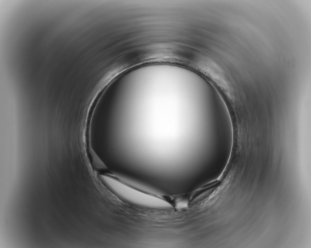 X0000093451330200710261053