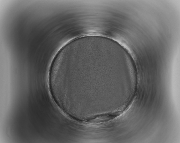 X0000093451333200710261053