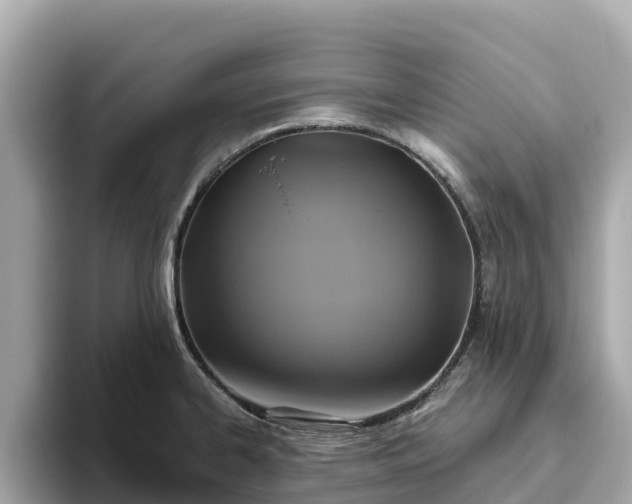 X0000093451334200710261053