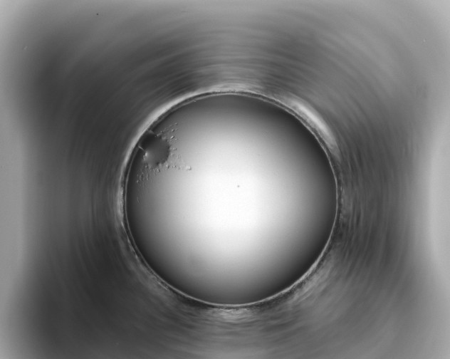 X0000093451340200710261053