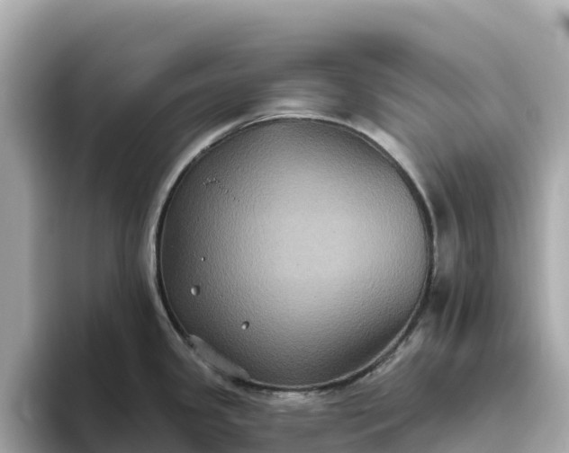 X0000093451341200710261053