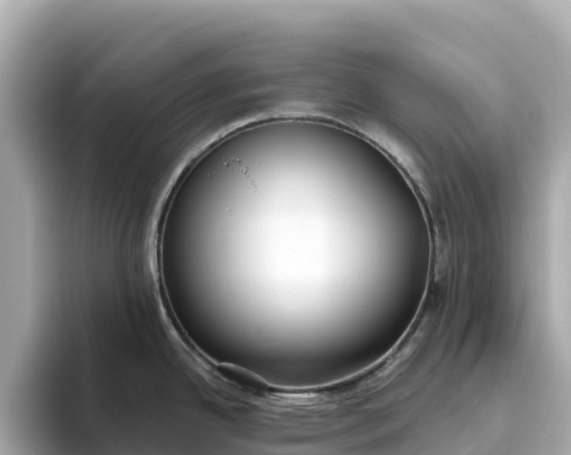 X0000093451342200710261053