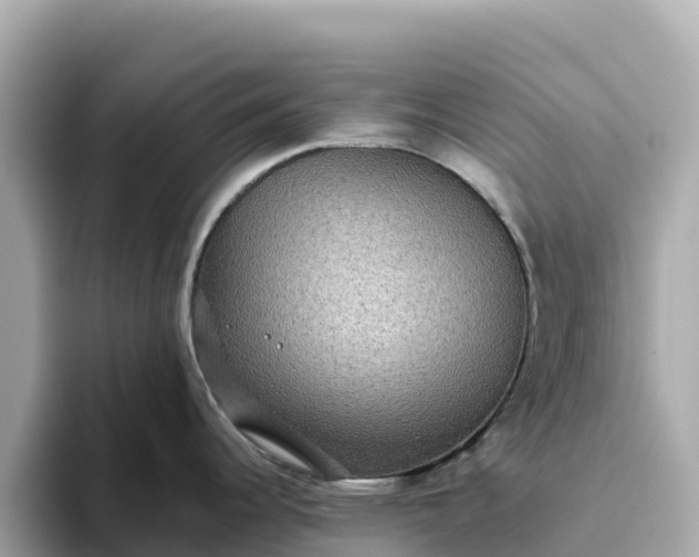 X0000093451344200710261053