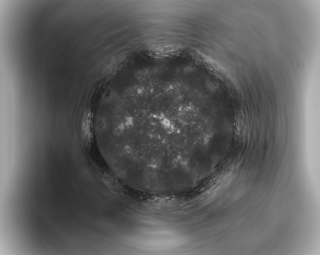 X0000093451346200710261053