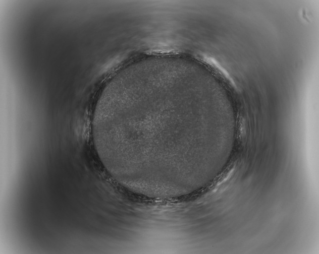 X0000093451350200710261052