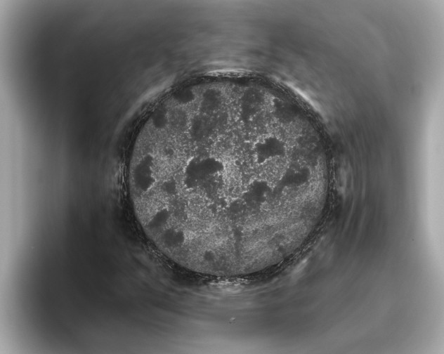 X0000093451351200710261052