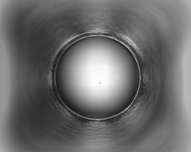 X0000093451356200710261052