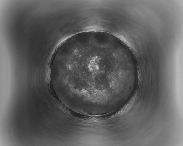 X0000093451358200710261052