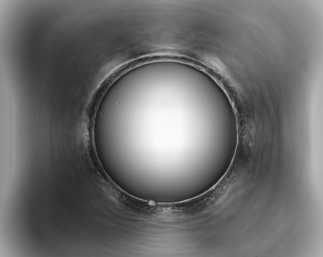 X0000093451360200710261052