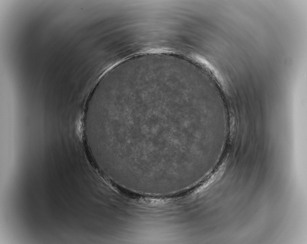 X0000093451361200710261052