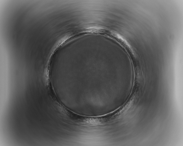 X0000093451362200710261052