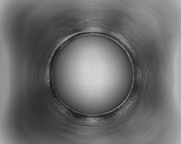 X0000093451364200710261052