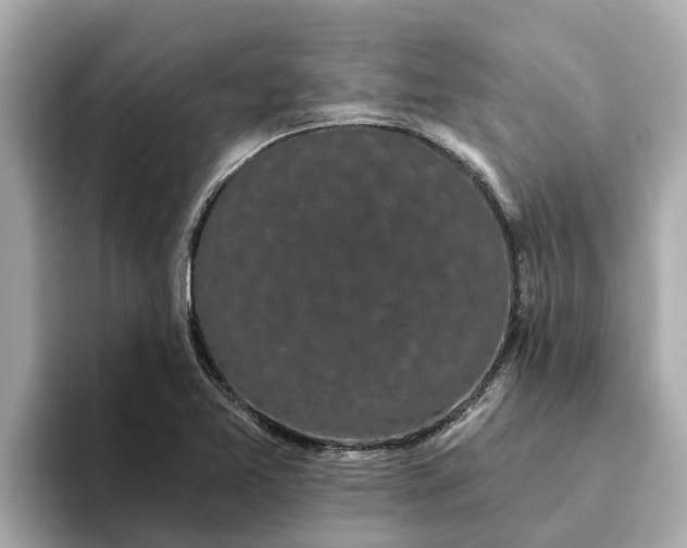 X0000093451365200710261052