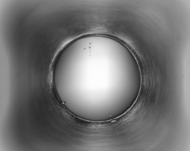 X0000093451366200710261052