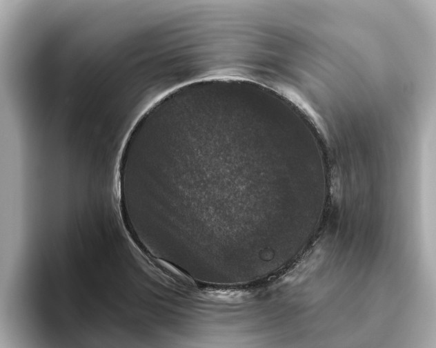 X0000093451372200710261052