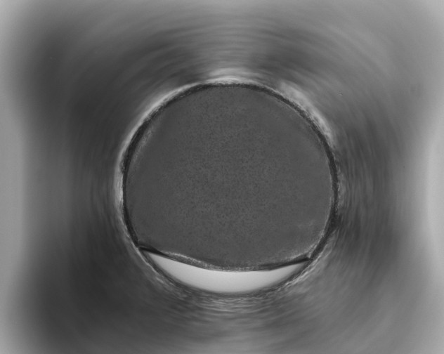 X0000093451376200710261052