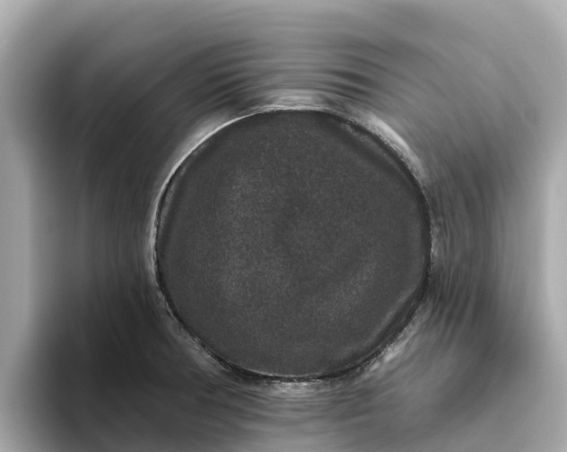 X0000093451378200710261052