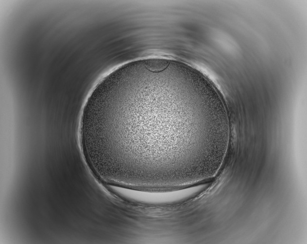 X0000093451379200710261052