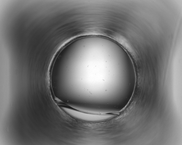 X0000093451380200710261052