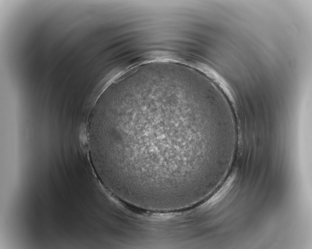 X0000093451385200710261052