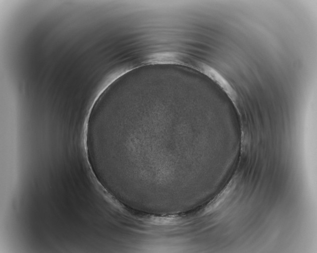 X0000093451386200710261052